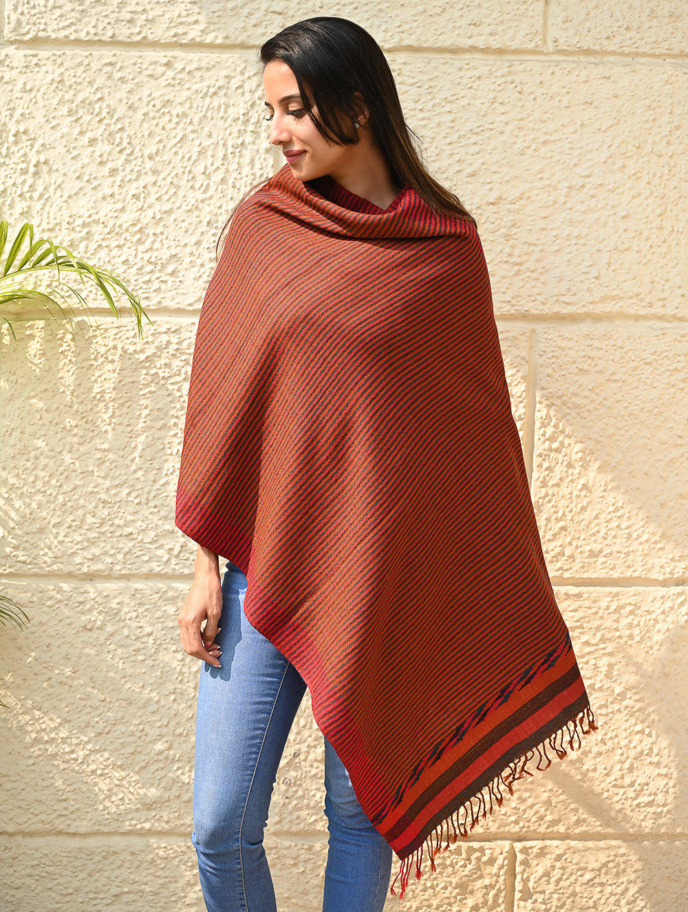 Exclusive Soft Himachal Wool Stole with Woven Border - Ember Stripes
