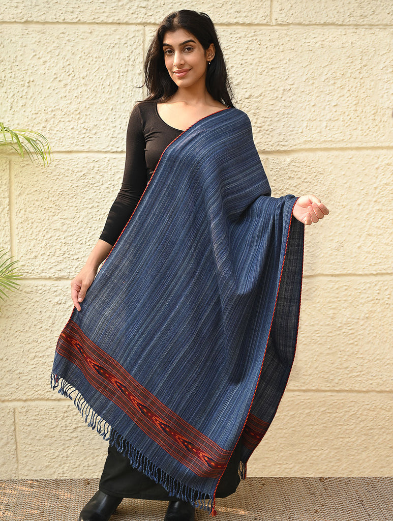 Exclusive Soft Himachal Wool Stole with Woven Border - Indigo Glen