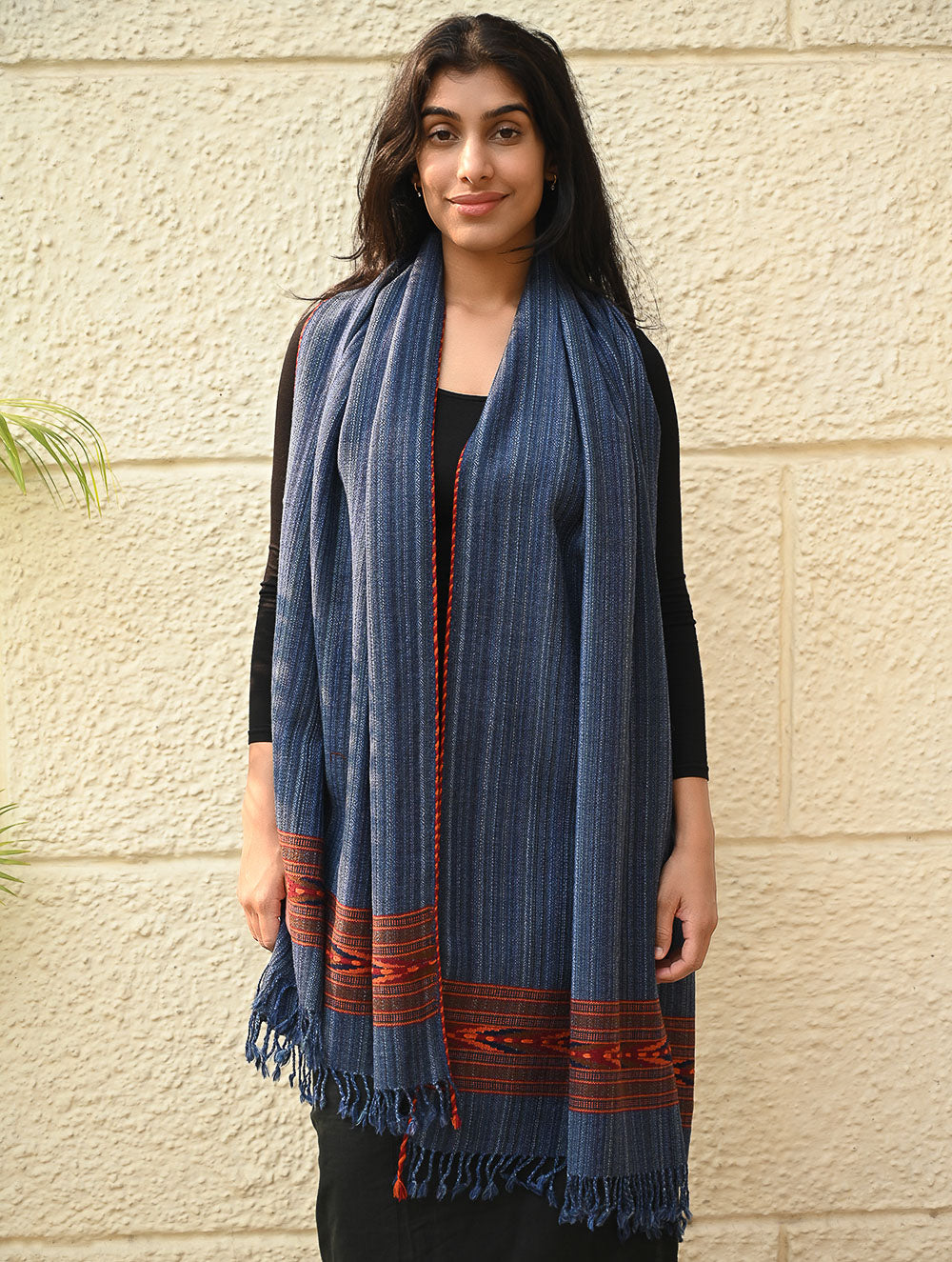 Load image into Gallery viewer, Exclusive Soft Himachal Wool Stole with Woven Border - Indigo Glen
