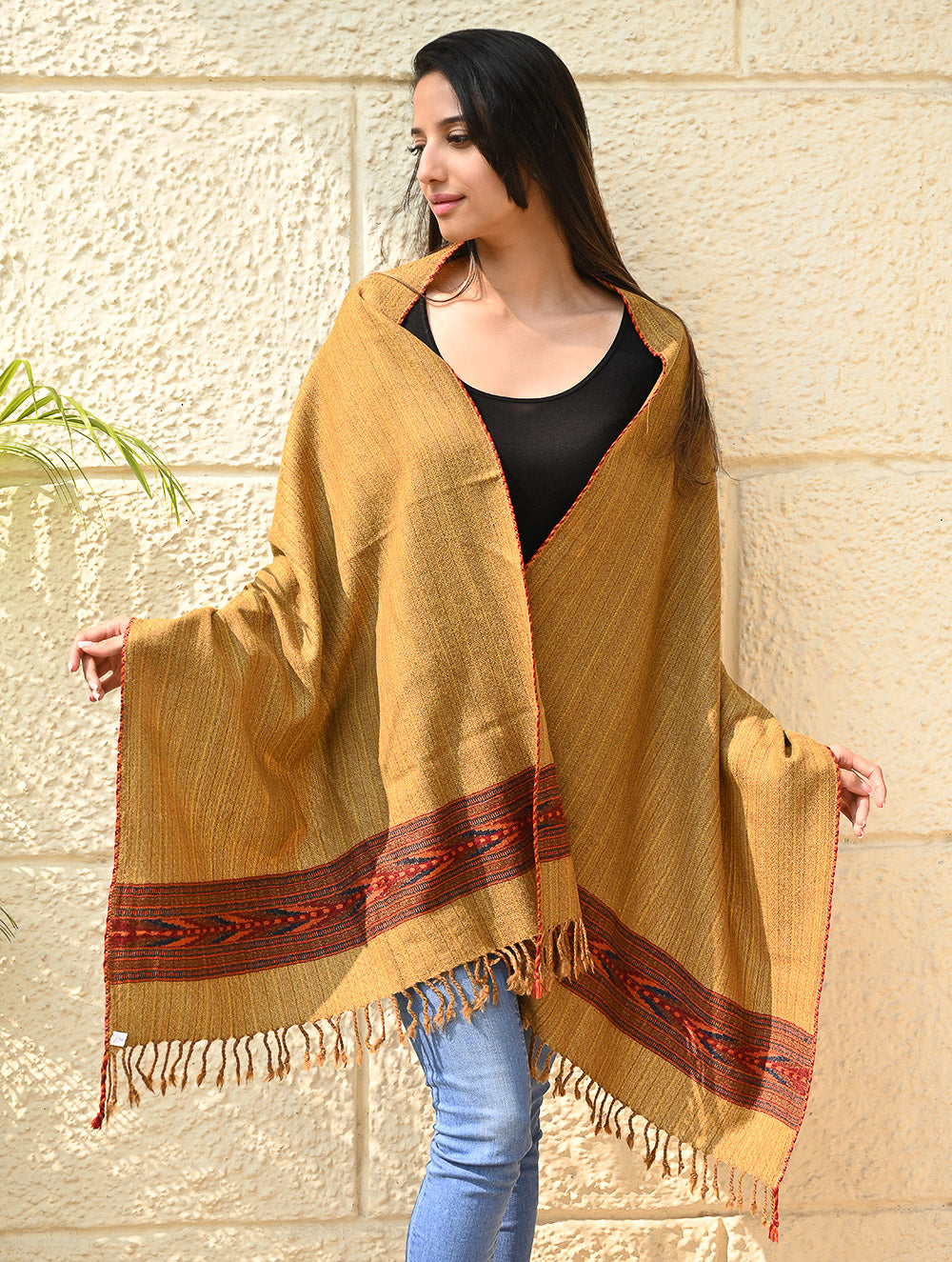 Load image into Gallery viewer, Exclusive Soft Himachal Wool Stole with Woven Border - Sandstone