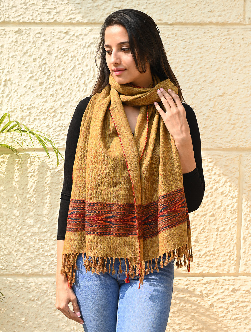 Load image into Gallery viewer, Exclusive Soft Himachal Wool Stole with Woven Border - Sandstone
