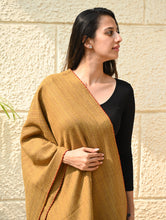 Load image into Gallery viewer, Exclusive Soft Himachal Wool Stole with Woven Border - Sandstone