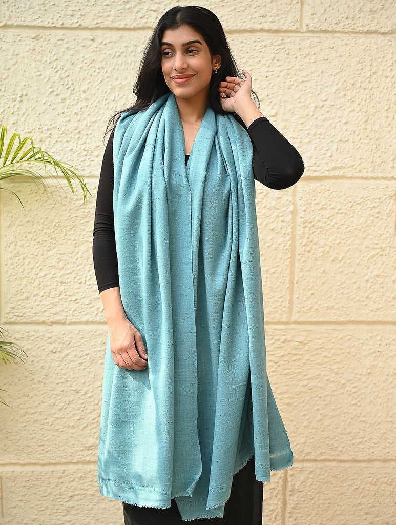 Fine, Soft Himachal Wool Self Striped Shawl - Aqua Cloud