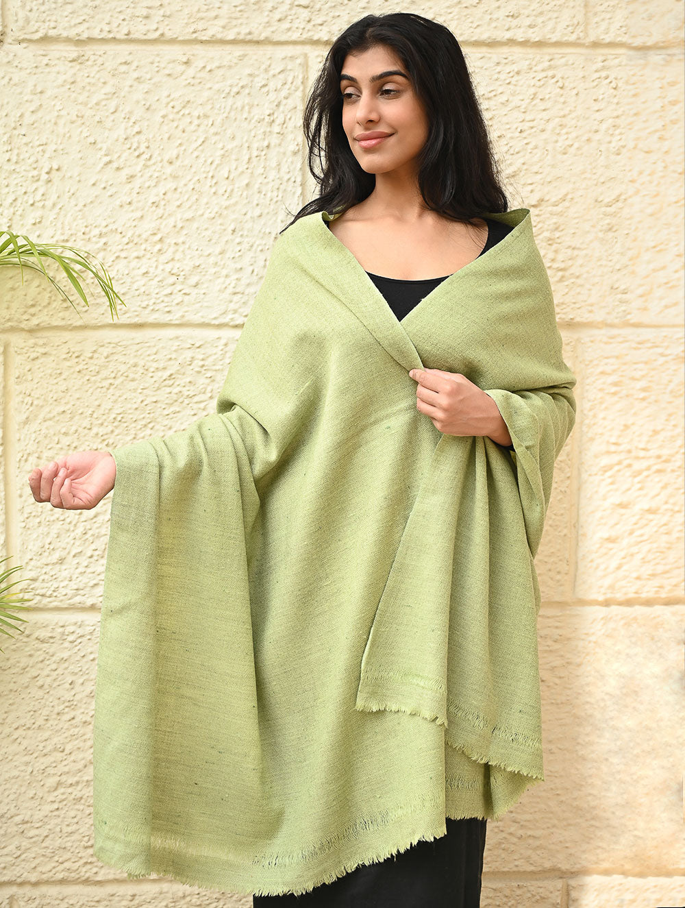 Load image into Gallery viewer, Fine, Soft Himachal Wool Self Striped Shawl - Mist Green
