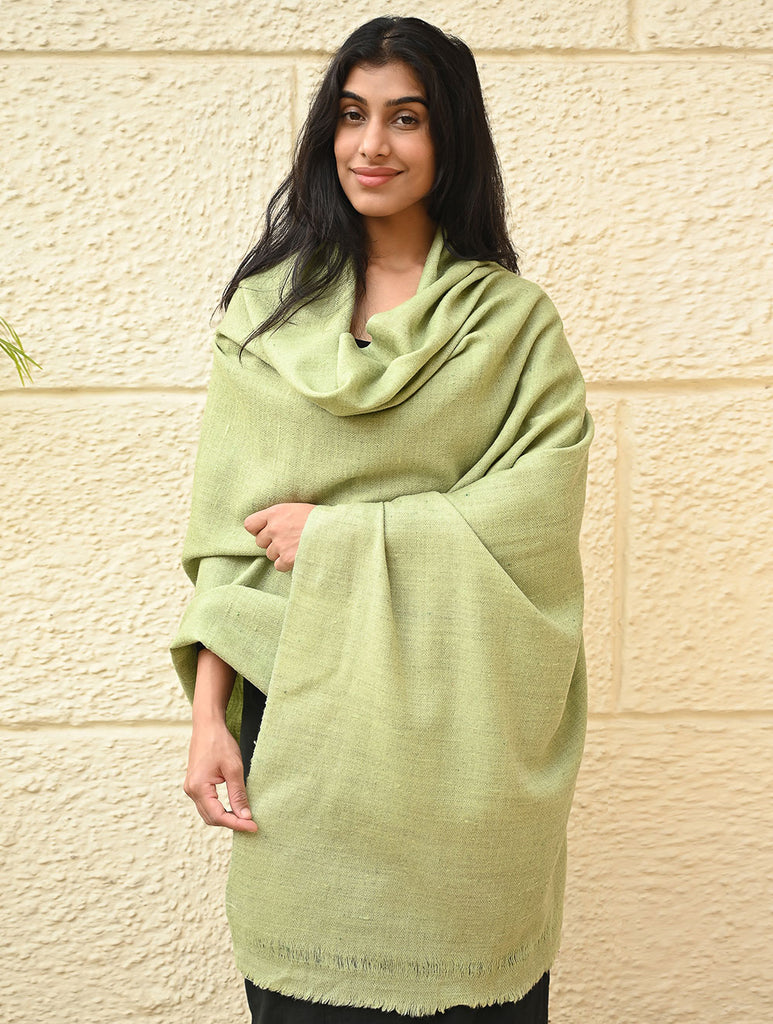 Fine, Soft Himachal Wool Self Striped Shawl - Mist Green