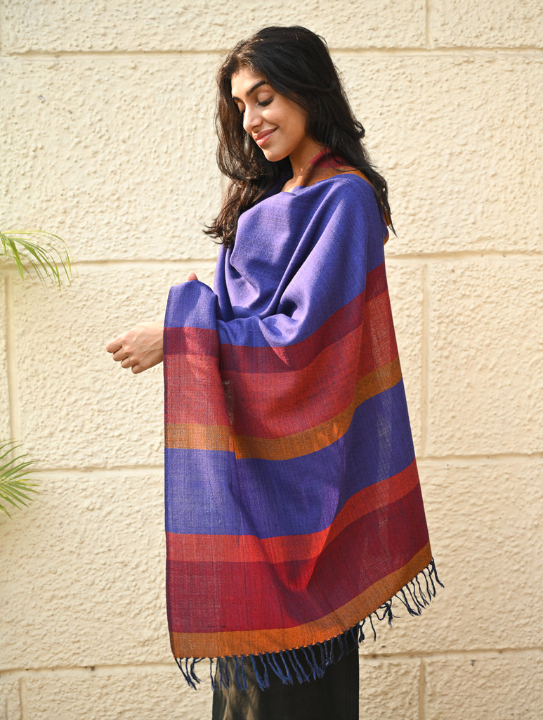 Fine, Soft Himachal Wool Striped Stole - Royal Blue and Multicolored