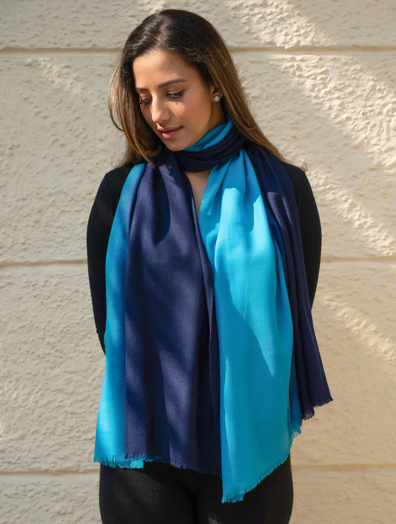 Fine, Soft Kashmiri Shaded Wool Stole