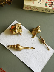 The India Craft House Heritage Gift Hamper - Coastal Keepsakes (Set of 4)