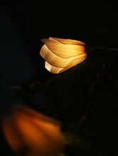 Load image into Gallery viewer, Handcrafted Shola Flowers Fairy Light