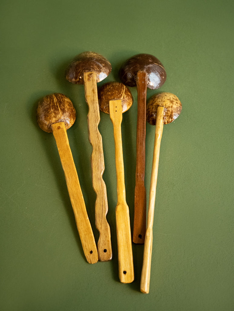 Kerala’s Eco-friendly Coconut Shell Craft - Spoodles & Salad Spoons (Set of 5)