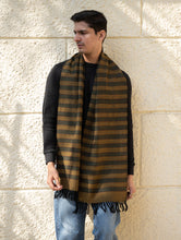 Load image into Gallery viewer, Light &amp; Warm Himachal Stole - Muted Stripes