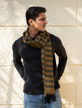 Load image into Gallery viewer, Light &amp; Warm Himachal Stole - Muted Stripes