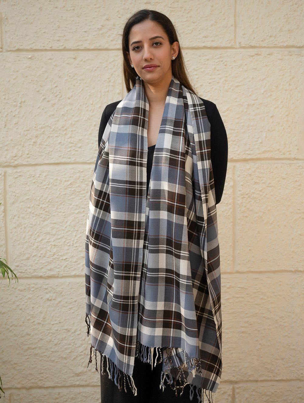 Load image into Gallery viewer, Light &amp; Warm Merino Wool Kinnauri Stole - Frozen Grid