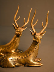 Dhokra Craft Curio - The Regal Stag Pair (Set of 2)