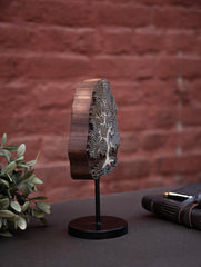 Nazakat. Exclusive, Fine Hand Engraved Wood Block Curio / Wall Piece - Tree in Autumn