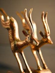 Brass Engraved Curios - The Galloping Herd (Set of 2)