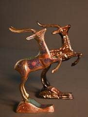 Brass Engraved Curios - The Twin Stags (Set of 2)