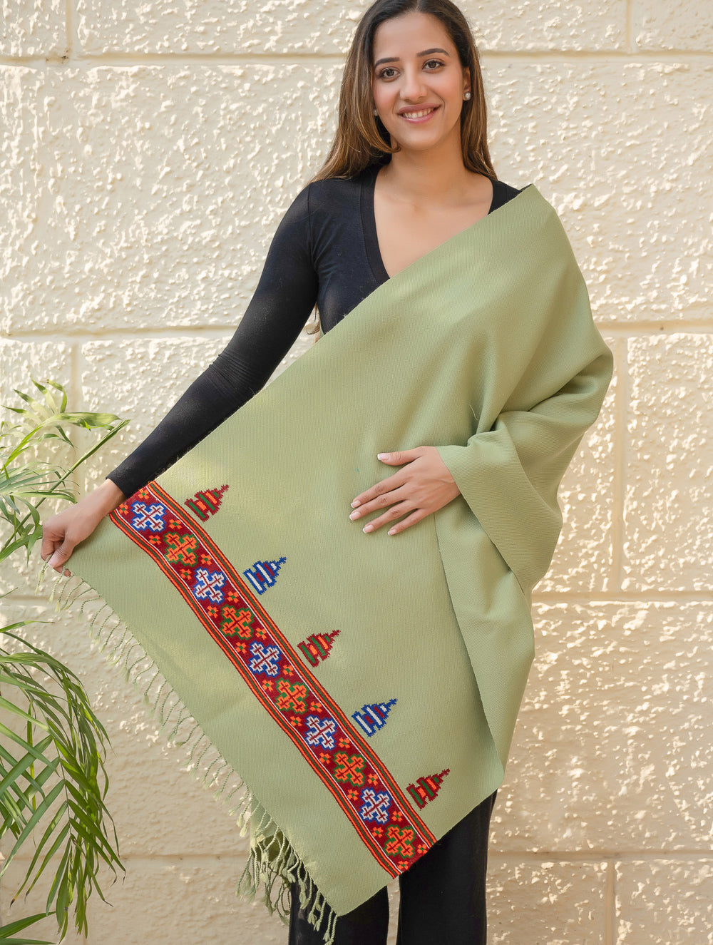 Warm & Cosy Signature Kinnauri Stole - Mist Green