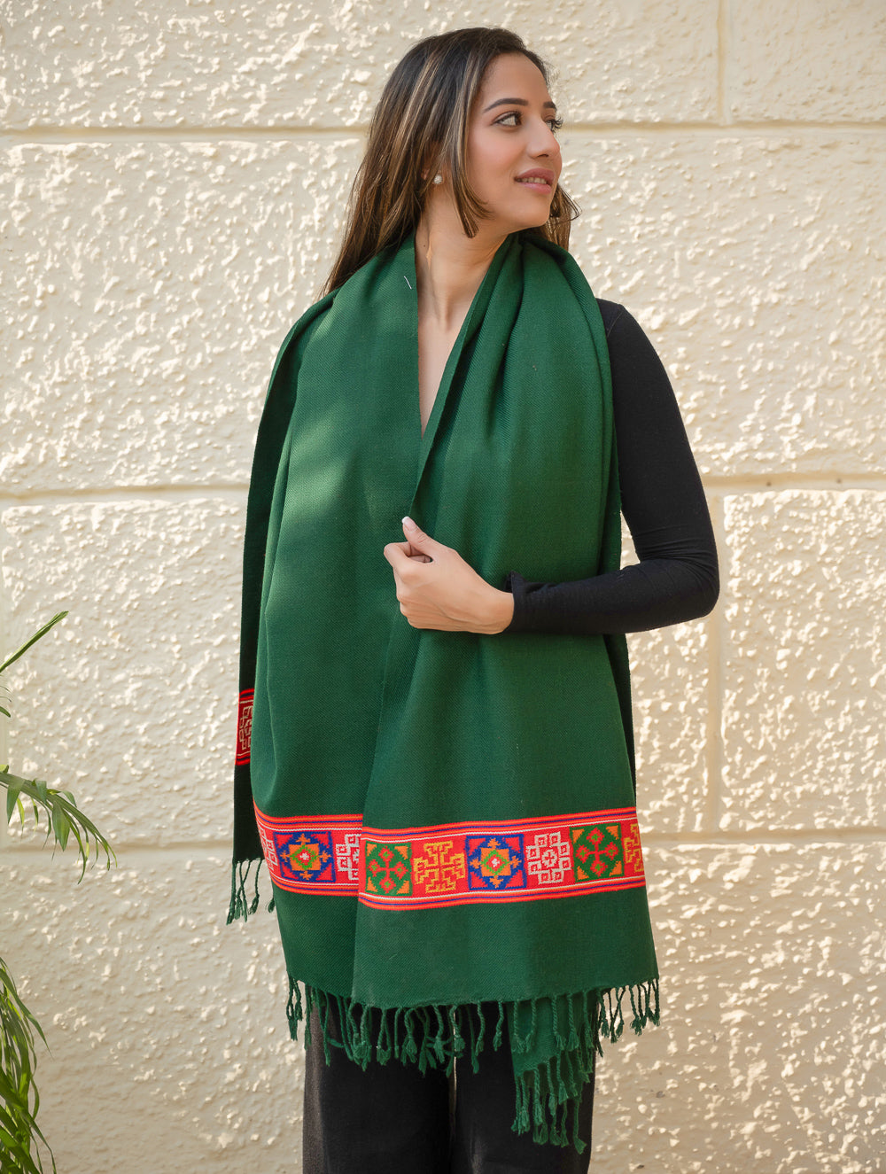 Load image into Gallery viewer, Warm &amp; Cosy Signature Kinnauri Stole - Moss Grove