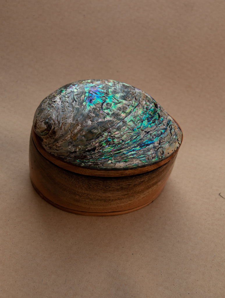 Abalone Shell Craft Multi-Utility Decorative Box (Oval; Rustic Wooden Base)