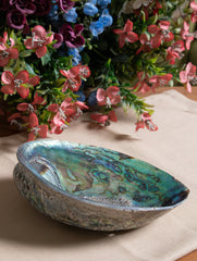 Abalone Shell Craft Soap Holder - The India Craft House 