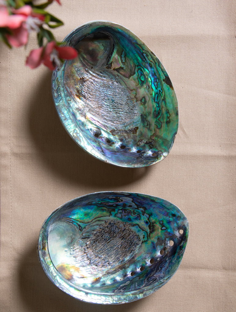 Abalone Shell Craft Soap Holders (Set of 2) - The India Craft House 