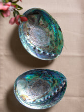 Load image into Gallery viewer, Abalone Shell Craft Soap Holders (Set of 2) - The India Craft House 