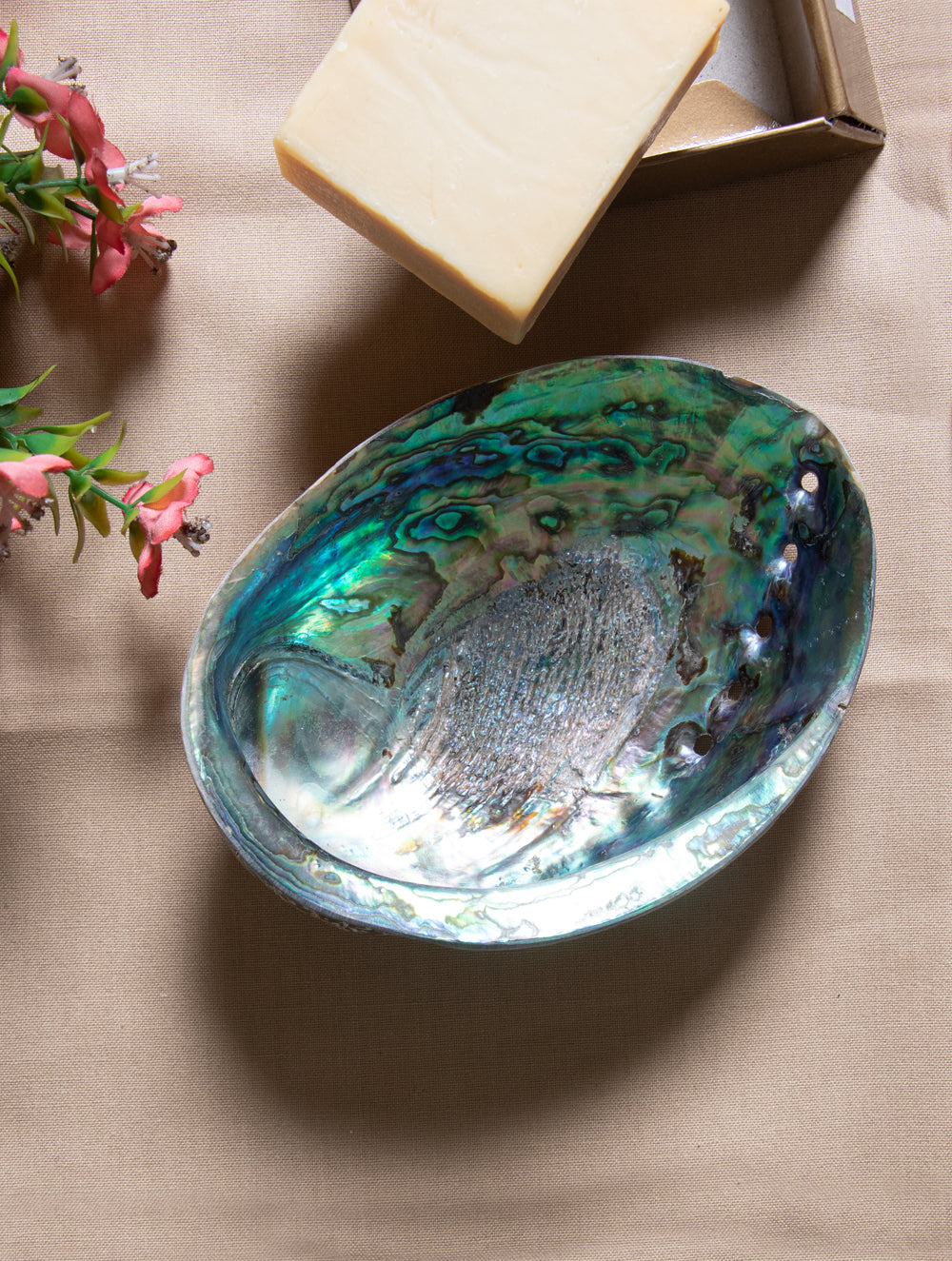 Abalone Shell Craft Soap Holders (Set of 3) - The India Craft House 