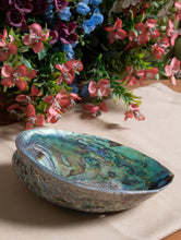 Load image into Gallery viewer, Abalone Shell Craft Soap Holders (Set of 3) - The India Craft House 