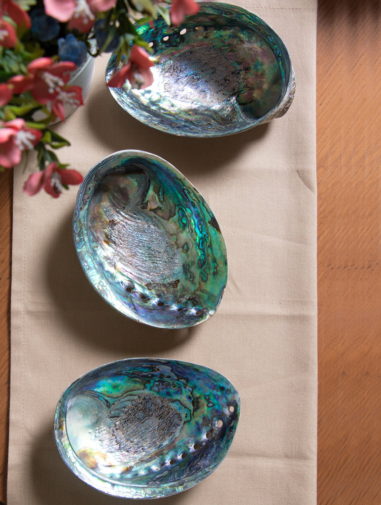 Abalone Shell Craft Soap Holders (Set of 3) - The India Craft House 