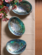 Load image into Gallery viewer, Abalone Shell Craft Soap Holders (Set of 3) - The India Craft House 
