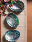 Abalone Shell Craft Soap Holders (Set of 3)