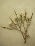 Brass Flowers Curio (Set of 4)