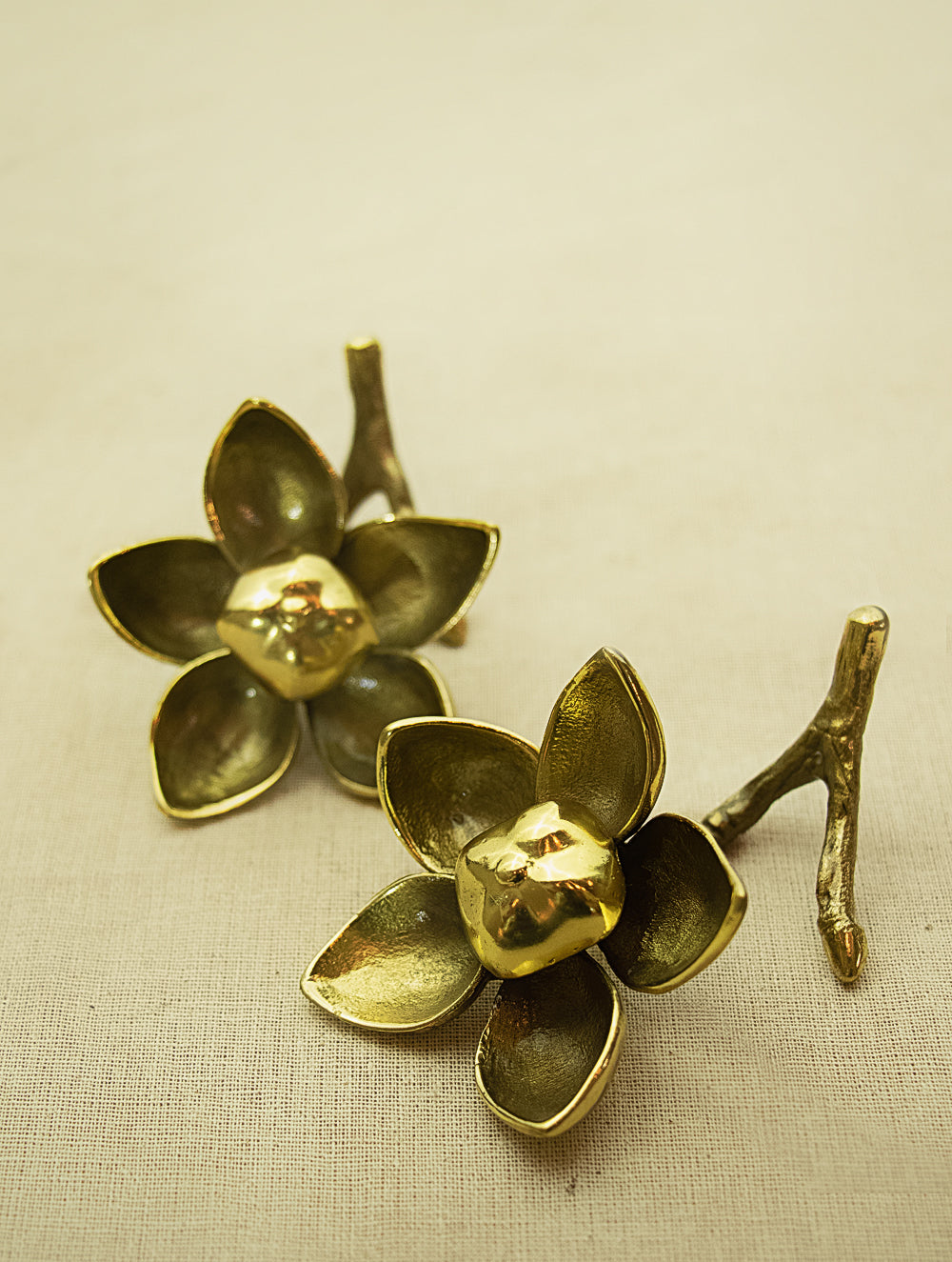 Brass Curio / Paper Weight - Woodrose (Small) Set of 2 - The India Craft House 