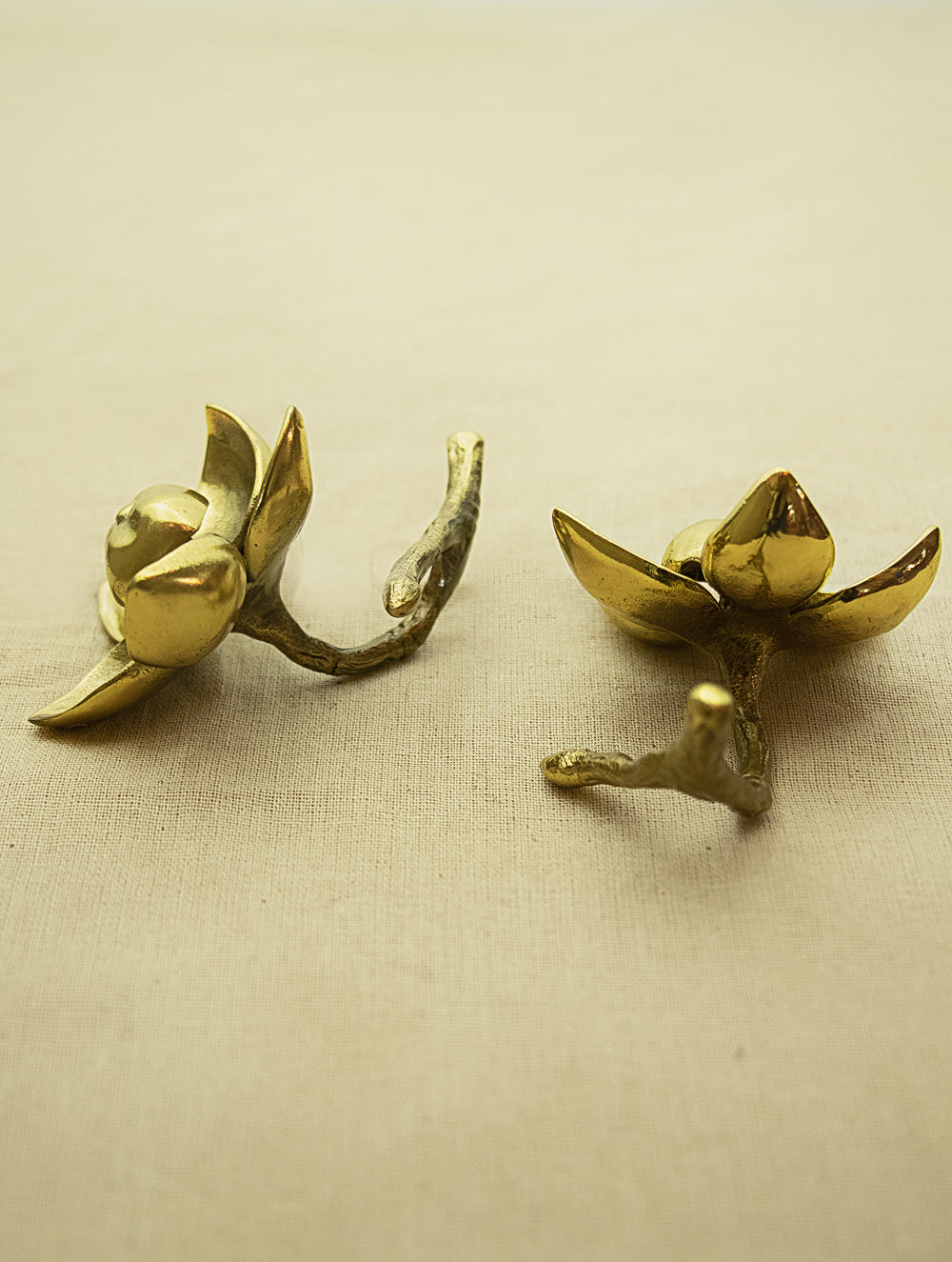 Brass Curio / Paper Weight - Woodrose (Small) Set of 2 - The India Craft House 