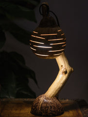 Coconut Craft Table Lamp