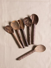 Coconut Serving Bowls and Spoons - (Set of 6) - The India Craft House 