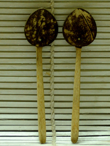 Coconut Craft - Salad  Spoon (Set of 2) - The India Craft House 