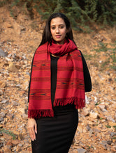 Load image into Gallery viewer, Exclusive Soft Himachal Wool Stole - 6 Border Weave
