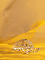 Fine Crystal Glass Curio - Tortoise