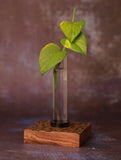 Handcrafted Wooden Engraved Planter Base (With Glass Tube)