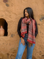 Pure Silk Bagh Printed Stole - Red Stripes