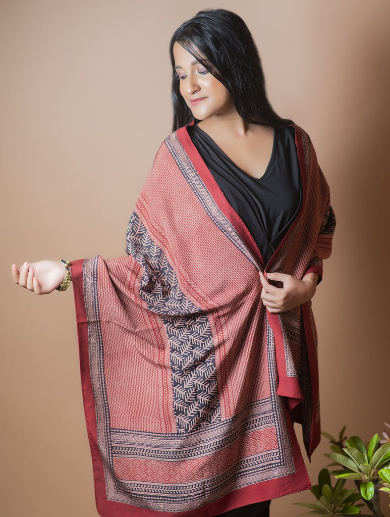 Pure Silk Bagh Printed Stole - Red Stripes