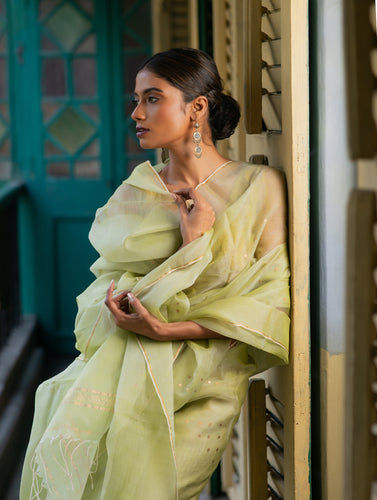Sheer Elegance. Exclusive Handwoven Resham Silk Saree - Pastel Green