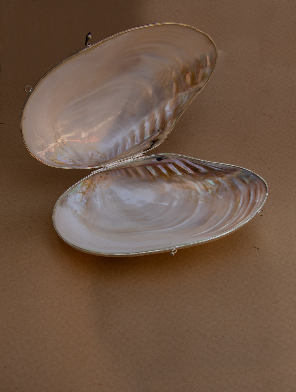 Shell Craft Evening Bag (With Sling)