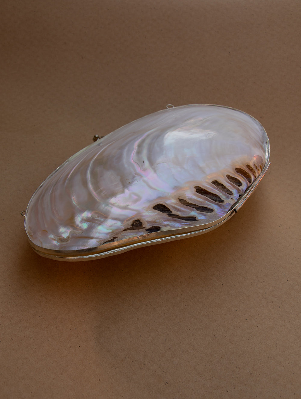 Shell Craft Evening Bag (With Sling)