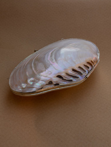 Shell Craft Evening Bag (With Sling)