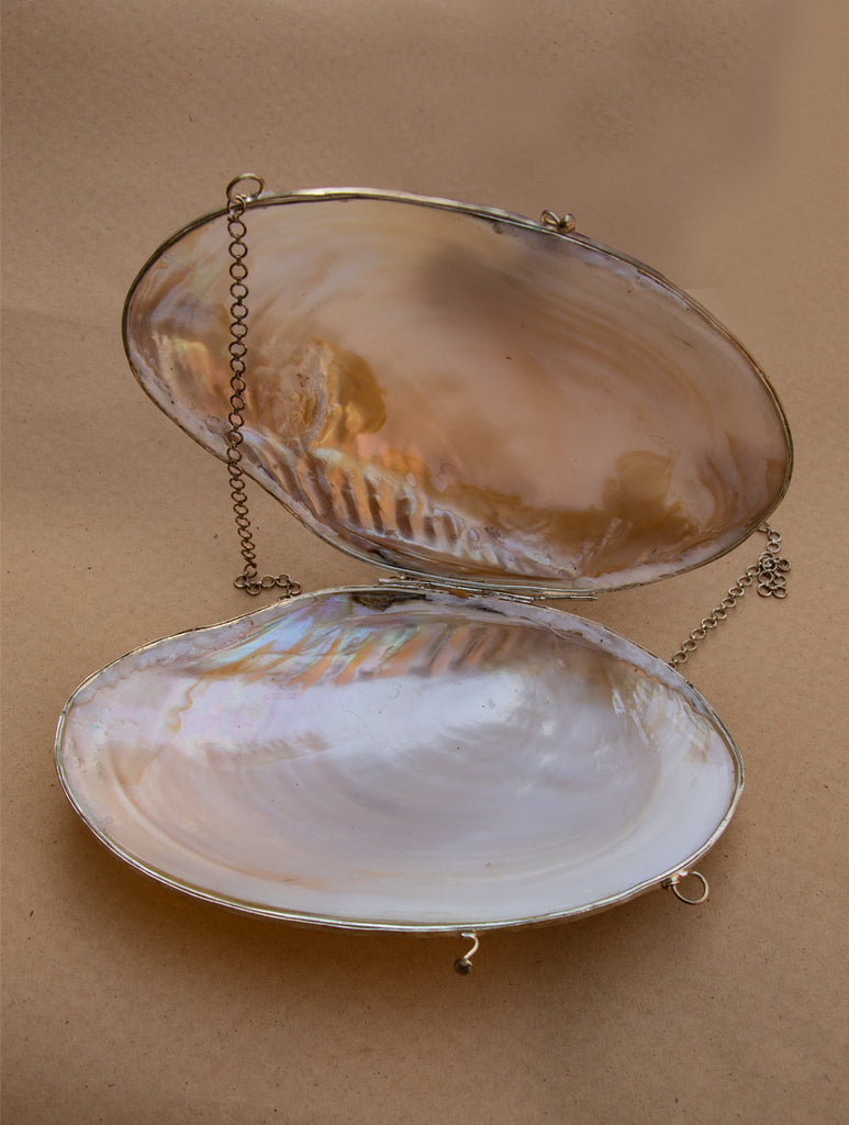 Seashell Decor - Shell Coin Purses - California Seashell Company Retail