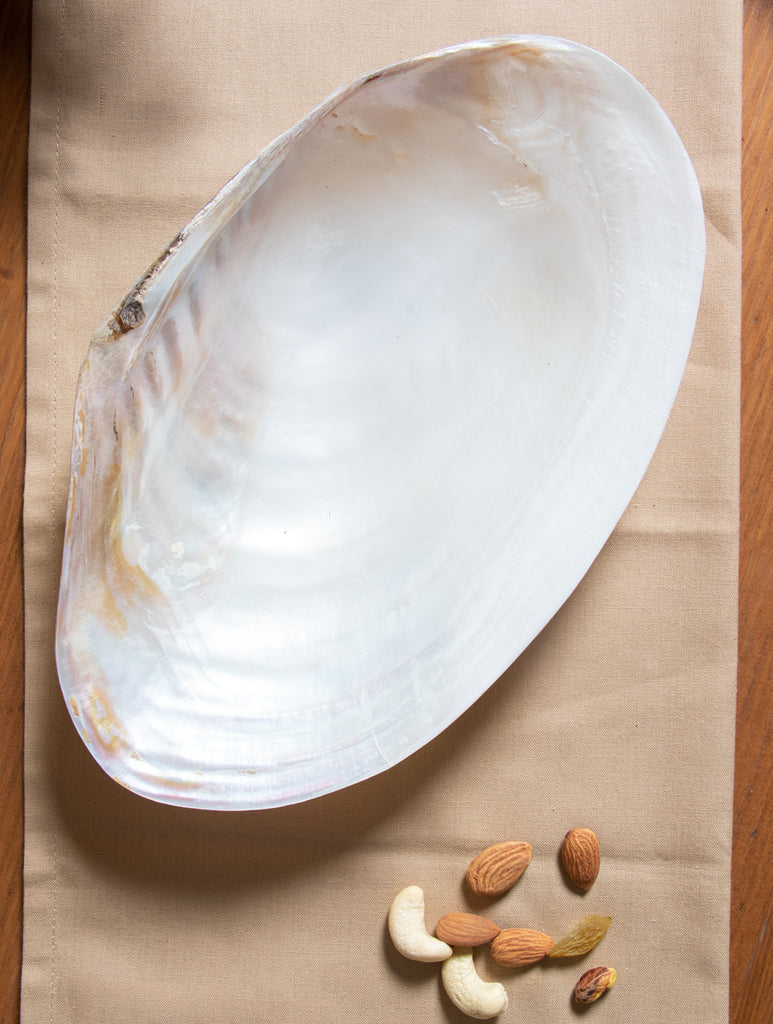 Shell Craft Flat Serving Bowl (Large) - The India Craft House 