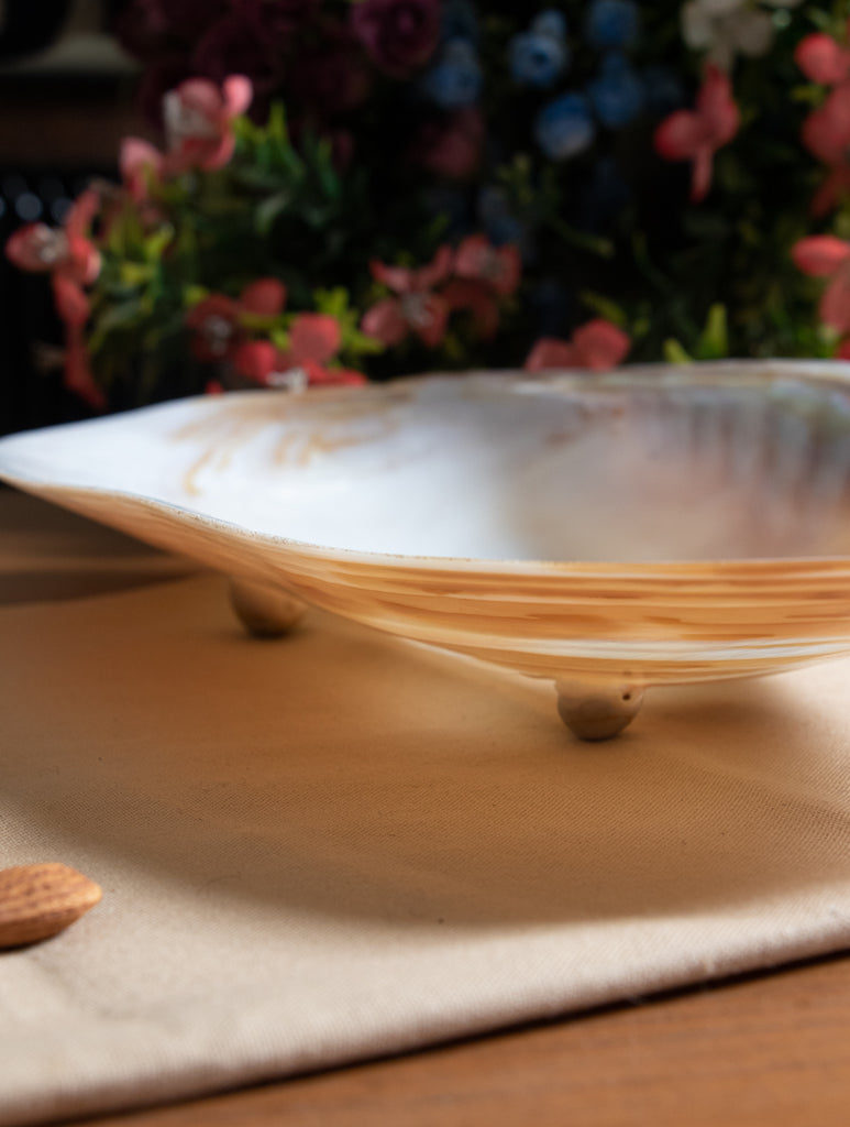 Shell Craft Flat Serving Bowl (Large) - The India Craft House 